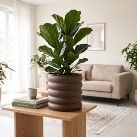 Bloempot Rings XL bruin - 30 x 30 x 29 cm