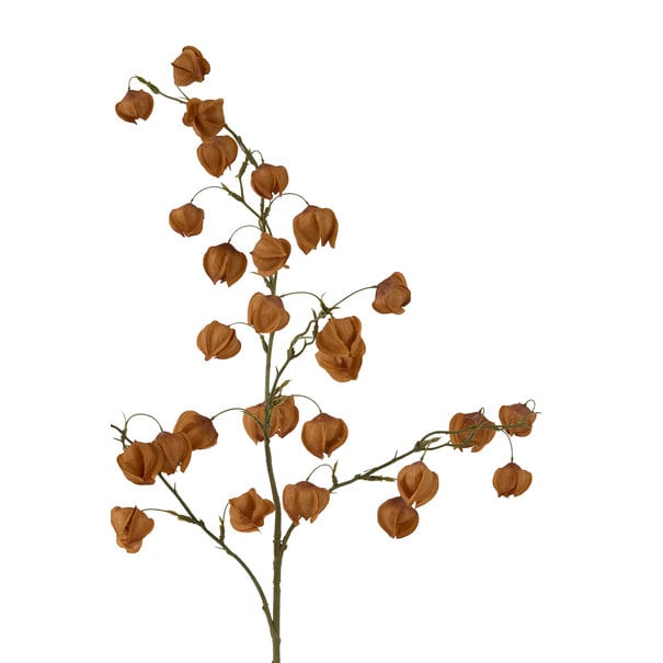 Light en Living Kunstbloem 20x10x100 cm PHYSALIS terra-oranje