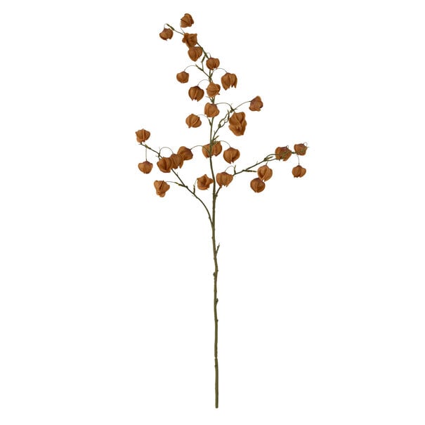 Light en Living Kunstbloem 20x10x100 cm PHYSALIS terra-oranje