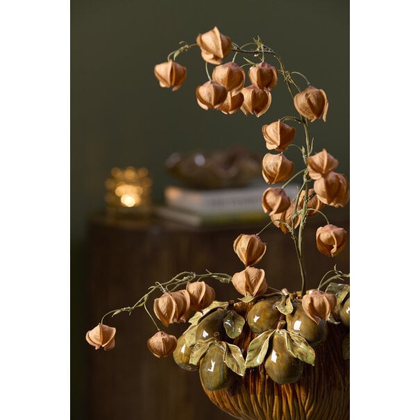 Light en Living Kunstbloem 20x10x100 cm PHYSALIS terra-oranje