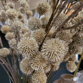 Kunsttak Bloem Echinops champagne - 4 x 13 x 105 cm