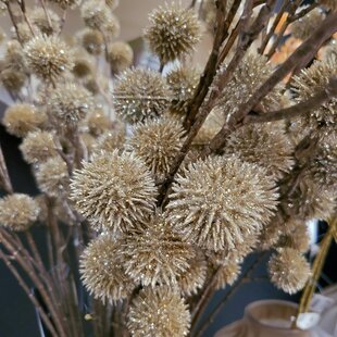 Kunsttak Bloem Echinops champagne - 4 x 13 x 105 cm