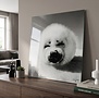 Schilderij Zeehond Wild Life 80 x 80 cm