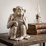 Ornament Aap Nikkel - Stijlvol Dierenbeeldje van Light & Living