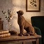 Ornament CHEETAH velvet Bruin of zwart in 3 maten