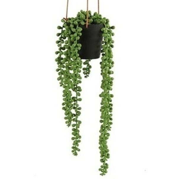 Countryfield Kunstplant Senecio Rowleyanus - Exotische Hangplant