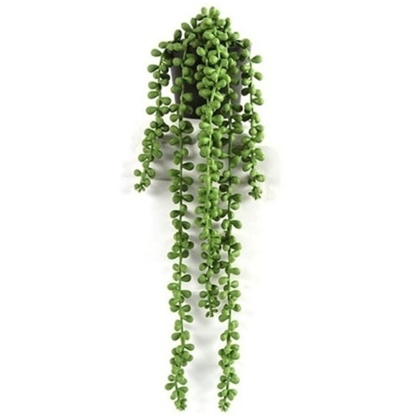 Countryfield Kunstplant Senecio Rowleyanus - Exotische Hangplant