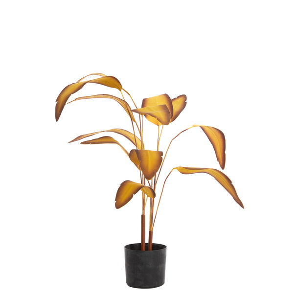 Parlane Ornament in pot Strelitzia Goud-Bruin+Zwart - 110 cm