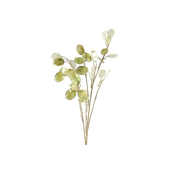 Countryfield Kunsttak Lunaria biennis L - groen