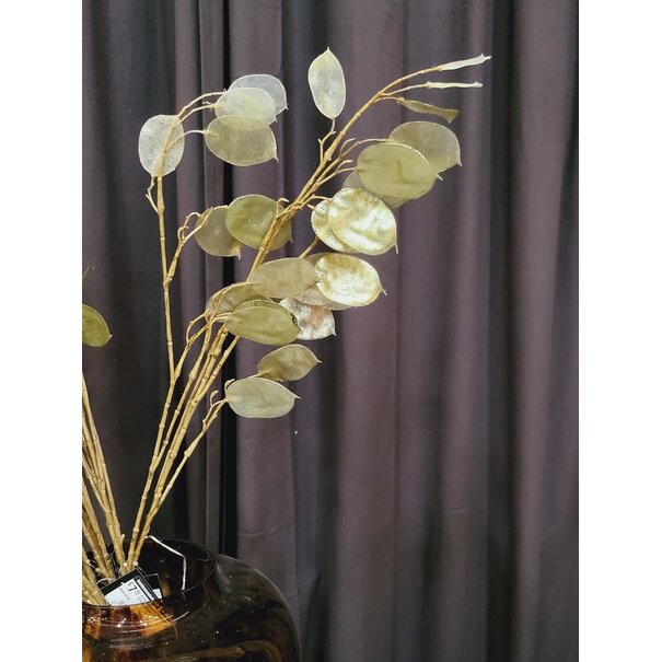 Countryfield Kunsttak Lunaria biennis L - groen