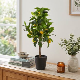 Kunstplant Citrus Limon 75 cm