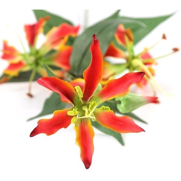 Countryfield Kunsttak Gloriosa oranje - Sfeervolle zijden bloem