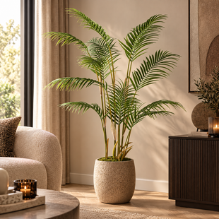 Palmboom groen in zwarte plastic pot - 148 cm hoog