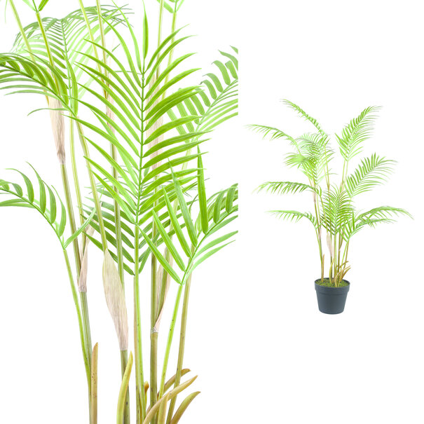 PTMD Palmboom groen in zwarte plastic pot - 148 cm hoog