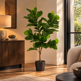 Countryfield Kunstplant Ficus lyrata groen - Diverse afmetingen