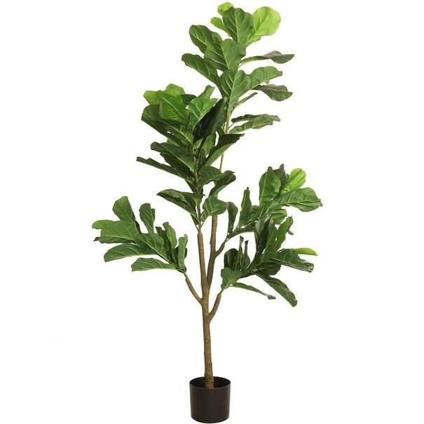 Countryfield Countryfield Kunstplant Ficus lyrata groen - Diverse afmetingen