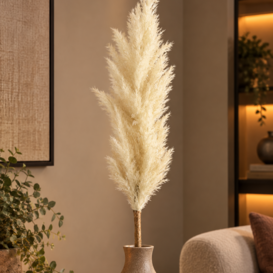 Astilbe crème