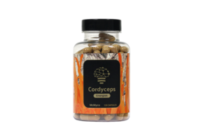 Cordyceps Extract Capsules - 120 stuks