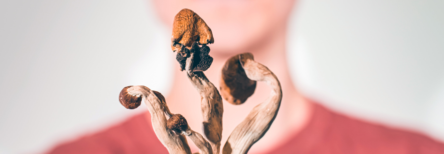 Alles wat je moet weten over het gebruik van Microdosing truffels in Amsterdam