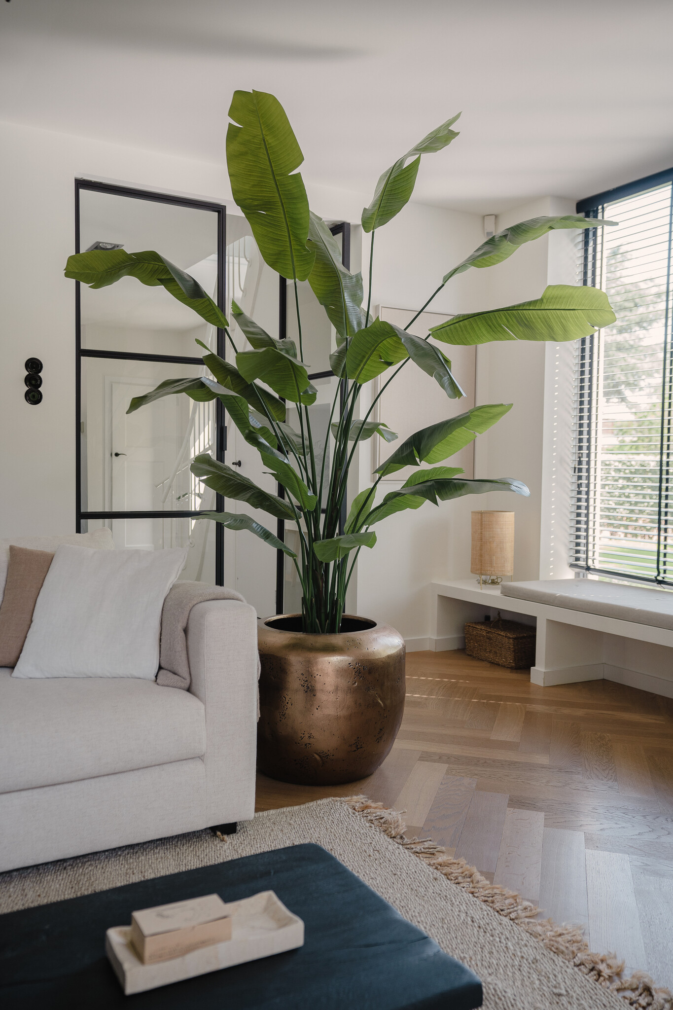 Inspirasjon Strelitzia kunstige planter Inspirasjon Strelitzia kunstige planter