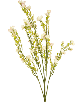 Greenmoods Kunstig Hoya Voksblomst Lys Rosa 85cm Greenmoods Kunstig Hoya Voksblomst Lys Rosa 85cm