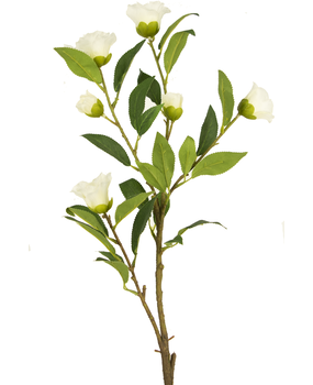 Greenmoods Kunstig Camellia Blomstergren Hvit 80cm