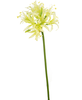 Greenmoods Kunstig Nerine 70cm
