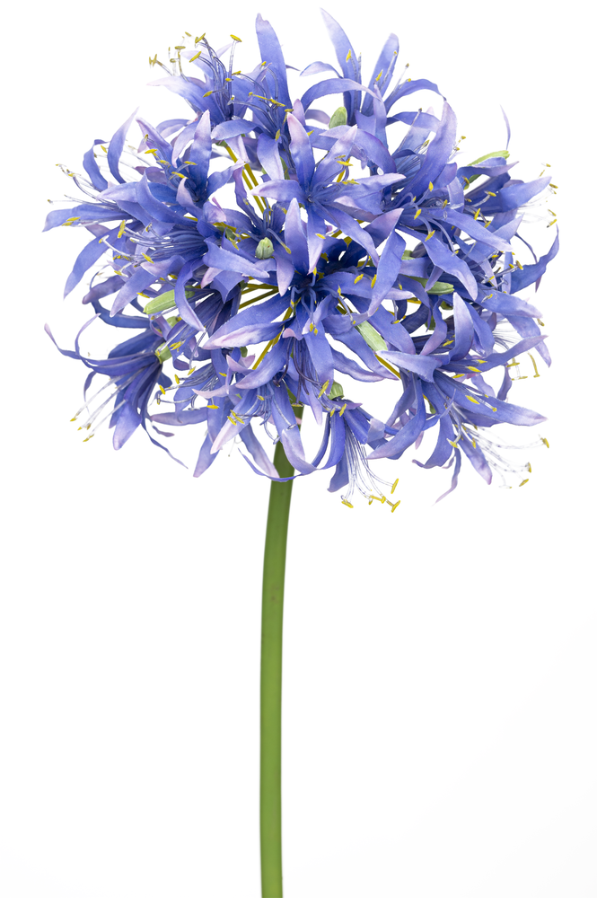 Greenmoods Kunstig Nerine Deluxe Lilla 70cm