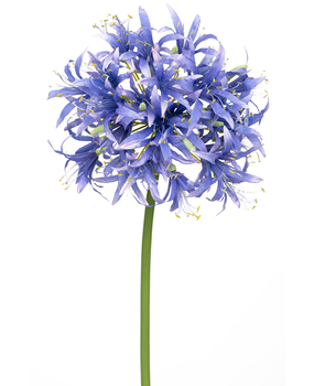 Greenmoods Kunstig Nerine Deluxe Lilla 70cm