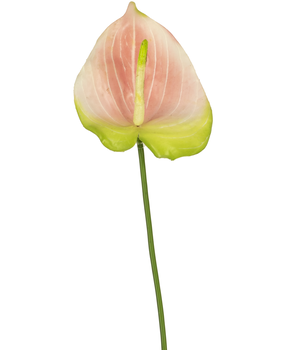Greenmoods Kunstig Anthurium Rosa 65cm
