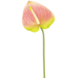 Greenmoods Kunstig Anthurium Rosa/Grønn 65cm