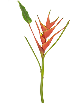 Greenmoods Kunstig Heliconia Blomst 90cm