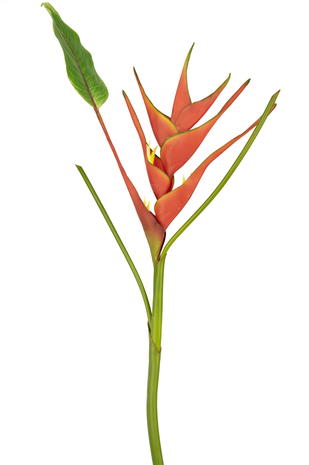 Greenmoods Kunstig Heliconia Blomst 90cm