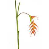 Greenmoods Kunstig Heliconia Blomst 120cm