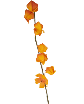 Greenmoods Kunstig Physalis Lampion Oransje 90cm Greenmoods Kunstig Physalis Lampion Oransje 90cm