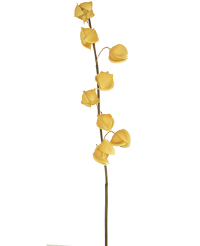 Greenmoods Kunstig Physalis Lampion Beige 90cm