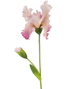 Greenmoods Kunstig Iris Blomst Rosa 80cm Greenmoods Kunstig Iris Blomst Rosa 80cm