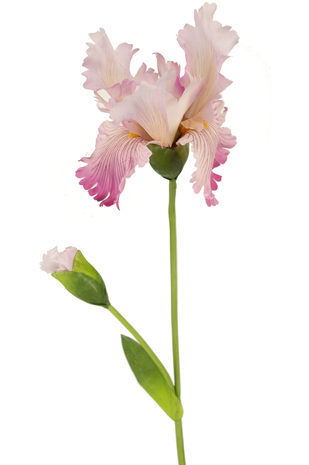 Greenmoods Kunstig Iris Blomst Rosa 80cm