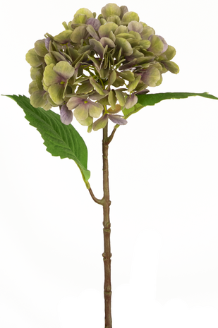 Greenmoods Kunstig Hortensia Hydrangea Lilla/Grønn 55cm