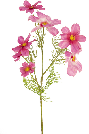 Greenmoods Kunstig Blomst Cosmos Fuchsia 74cm