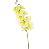 Greenmoods Kunstig Orkidé Deluxe 105cm Gul/Hvit "Real Touch" Greenmoods Kunstig Orkidé Deluxe 105cm Gul/Hvit "Real Touch"
