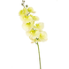 Greenmoods Kunstig Orkidé  Deluxe 105cm Gul/Hvit "Real Touch"