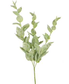 Greenmoods Kunstig Eukalyptus 70cm Greenmoods Kunstig Eukalyptus 70cm