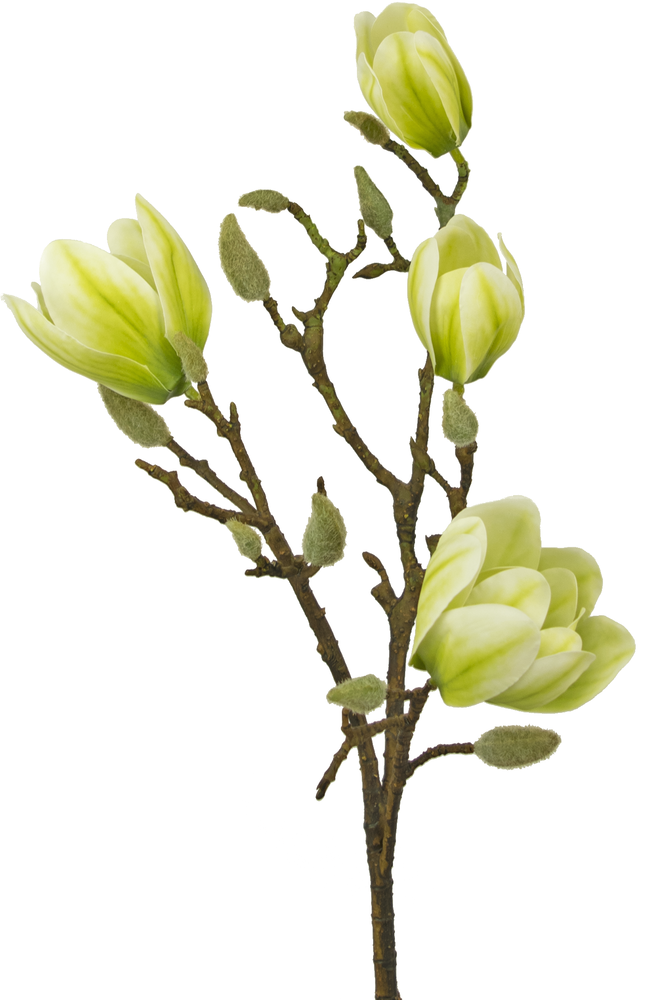 Greenmoods Kunstig Magnolia Gren Hvit/Grønn 50cm