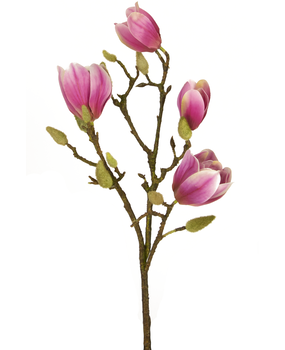 Greenmoods Kunstig Magnolia Gren Rosa 50cm Greenmoods Kunstig Magnolia Gren Rosa 50cm