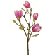 Greenmoods Kunstig Magnolia Gren Rosa 50cm