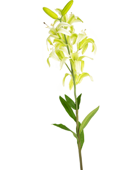 Greenmoods Kunstig Martagonlilje Hvit 78cm Greenmoods Kunstig Martagonlilje Hvit 78cm