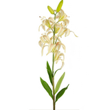 Greenmoods Kunstig Martagonlilje Hvit/Rosa 78cm