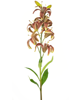 Greenmoods Kunstig Martagonlilje Fuchsia 78cm Greenmoods Kunstig Martagonlilje Fuchsia 78cm