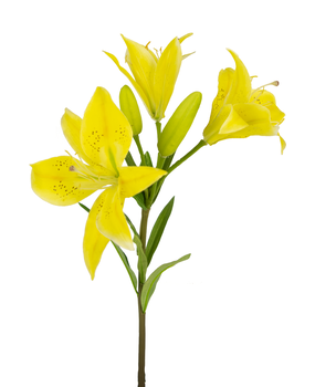 Greenmoods Kunstig Asiatisk Lilje Gul 66cm